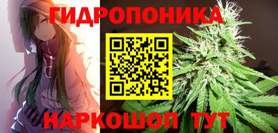 дживик Канаш
