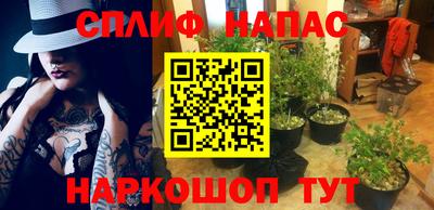 mdpv Камышлов